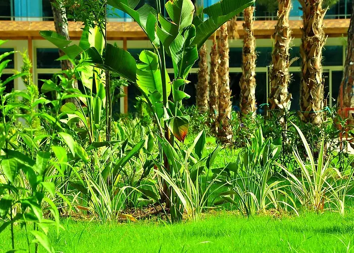 Отель Maya World